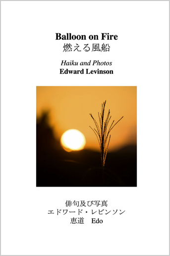 haiku-book-cover12-front-only-web